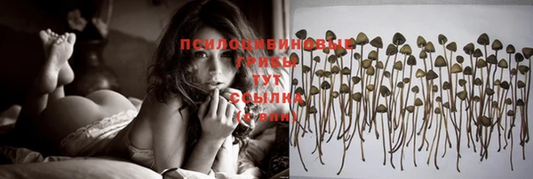 марки lsd Новозыбков