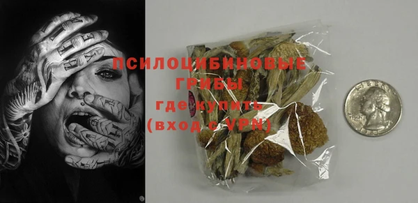 ПСИЛОЦИБИНОВЫЕ ГРИБЫ Няндома
