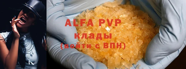 ПСИЛОЦИБИНОВЫЕ ГРИБЫ Няндома