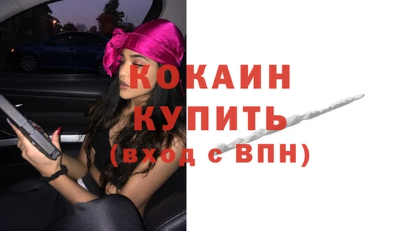 шишки Новокубанск