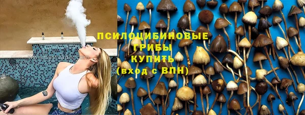 ПСИЛОЦИБИНОВЫЕ ГРИБЫ Няндома