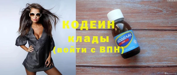 ПСИЛОЦИБИНОВЫЕ ГРИБЫ Няндома