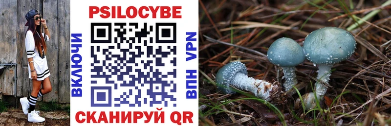 Псилоцибиновые грибы Psilocybine cubensis  Лысково 